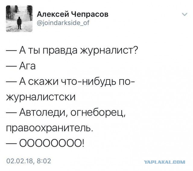 Огнеборцы откачали двух котов