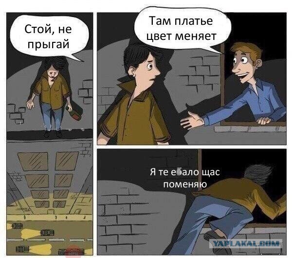 4957300.jpg