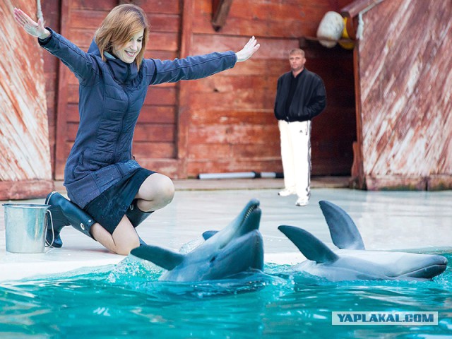Фотожаба: Поклонская с дельфинами