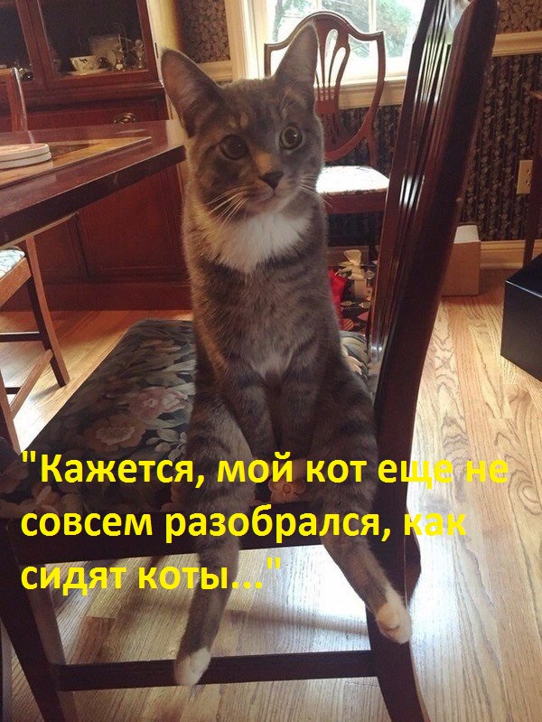 Картинки. Интересные, старые и не очень
