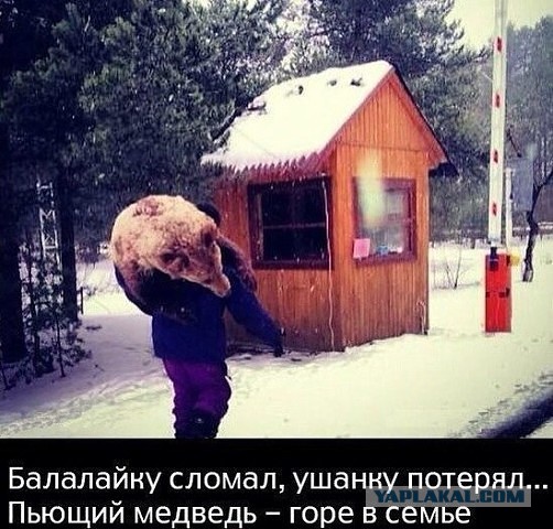 Русский зверm медвед