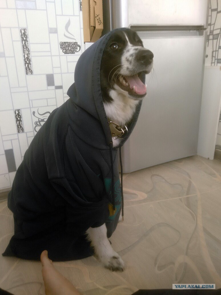 Статус что я пацанка Статус что я пацанка
