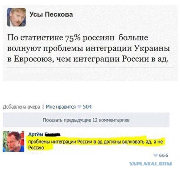 9131900.jpg