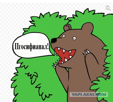 Иван Охлобыстин и медведь ищут самого умного