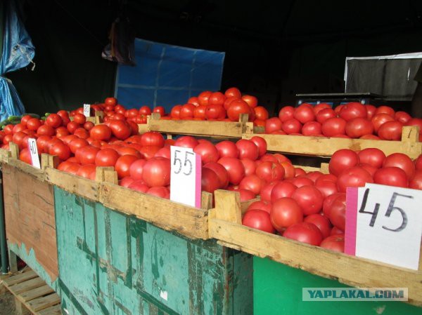 Последствия продуктовой блокады