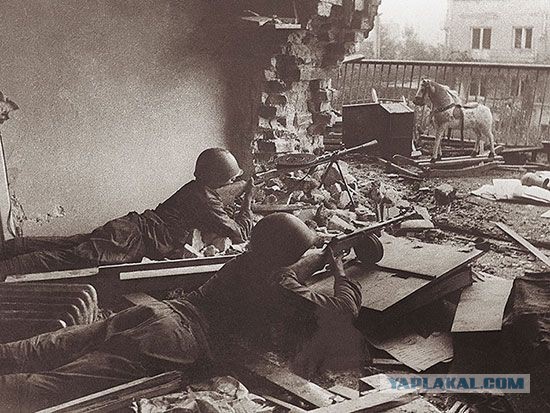 Как приготовить ликер в домашних условиях Как одеваться стильно в 50 лет и больше: платья