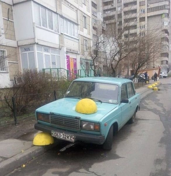 6779410.jpg