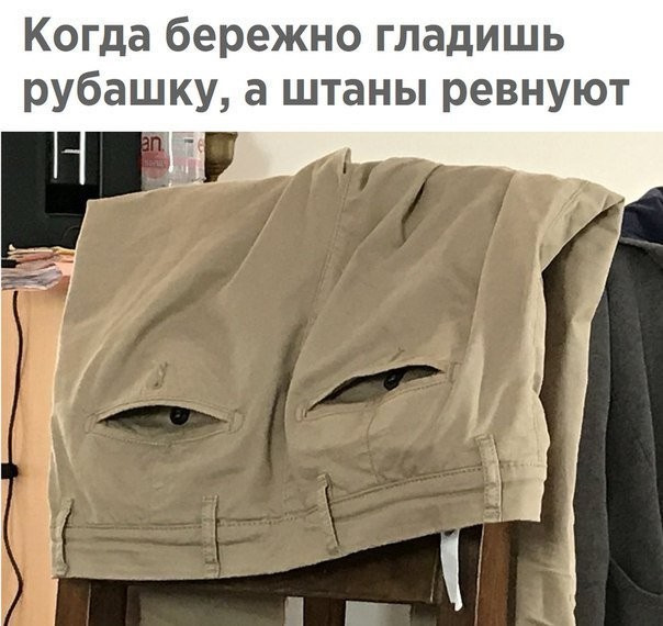 10686510.jpg