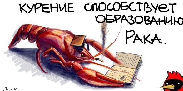 Картинки с претензией на юмор