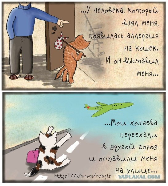 Комикс про кошек