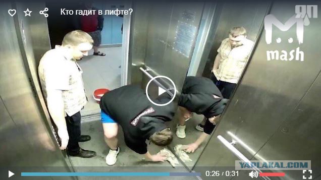 Жители небольшого города Урай в ХМАО провели расследование, чтобы выяснить, кто гадит у них в лифте