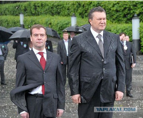 Януковича чуть не сбило венком