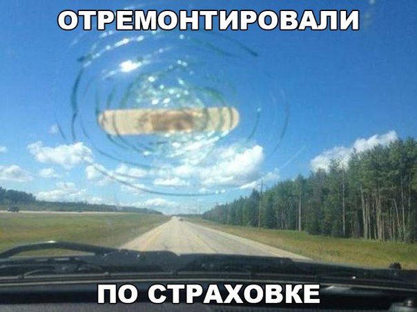 7827320.jpg