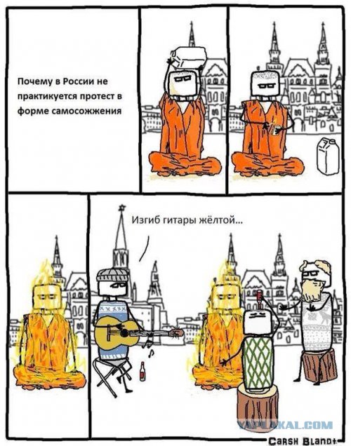 4305520.jpg