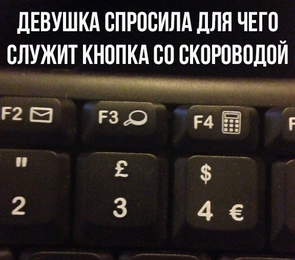 11820620.jpg