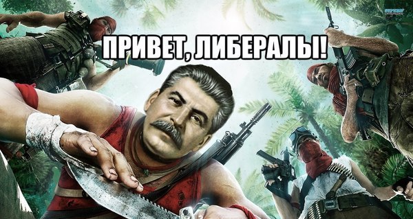 5352720.jpg