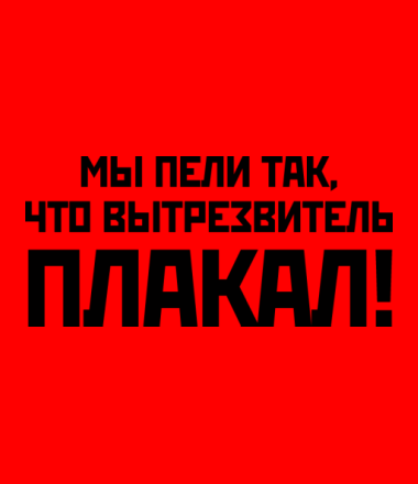 Валентина Матвиенко заявила, что стране нужны вытрезвители