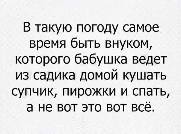 8811630.jpg