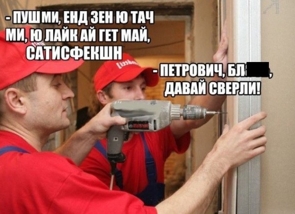 11123040.jpg