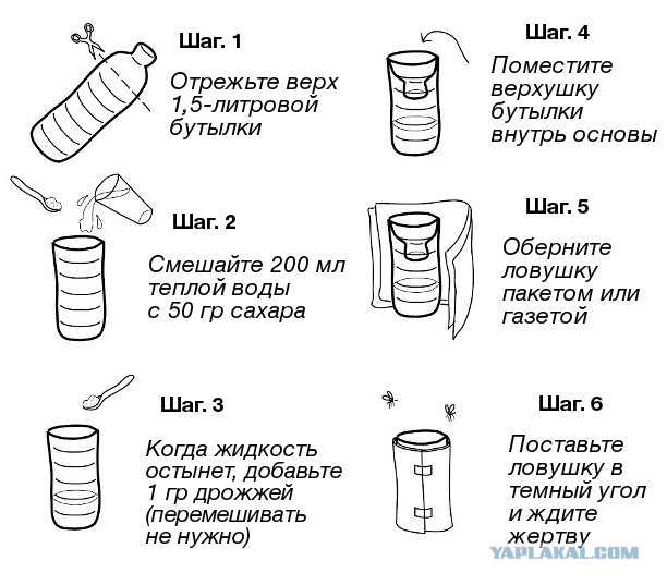 9 необычных способов избавления от комаров