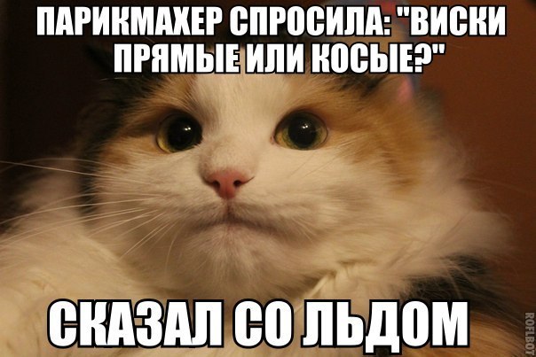13.        