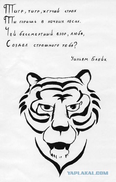 Ты тигренок стих Ты тигренок стих