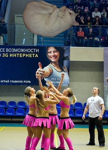 Черлидинг это цитаты Черлидинг это цитаты