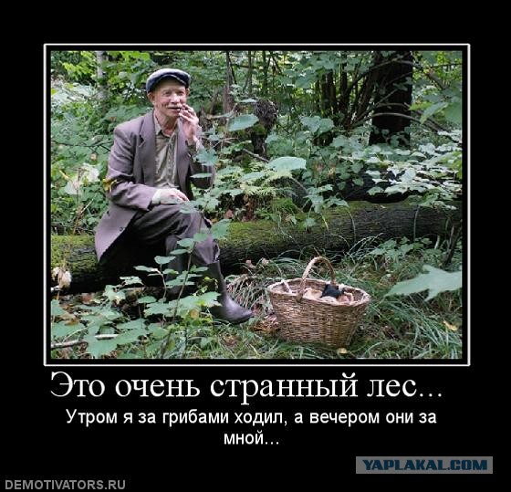 Ходила за грибами анекдот Ходила за грибами анекдот