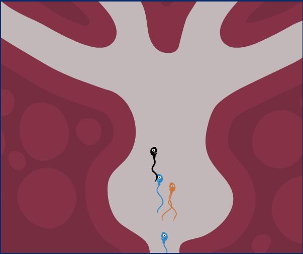 the great sperm race wife sex video husband watches