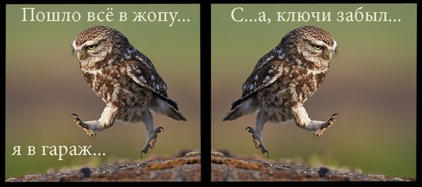 Ты куда? Опять в гараж? Ну и вали!