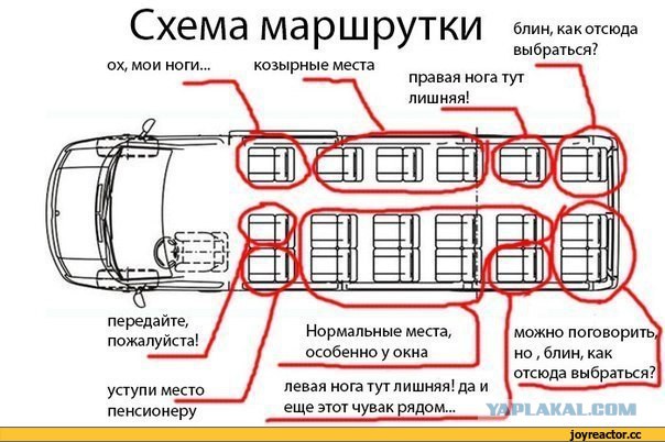 Вот почему я "обожаю" поездки в общественном транспорте