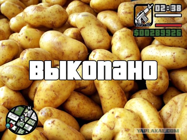 Открытка про картошку 96