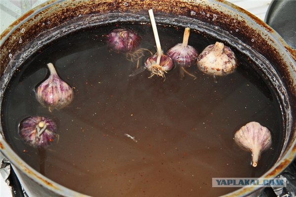 Как сделать тузлук для мясо
