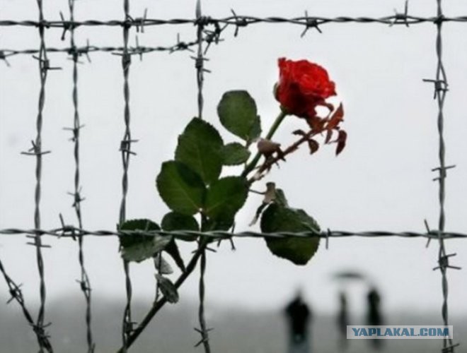 http://s00.yaplakal.com/pics/pics_original/0/5/8/2579850.jpg