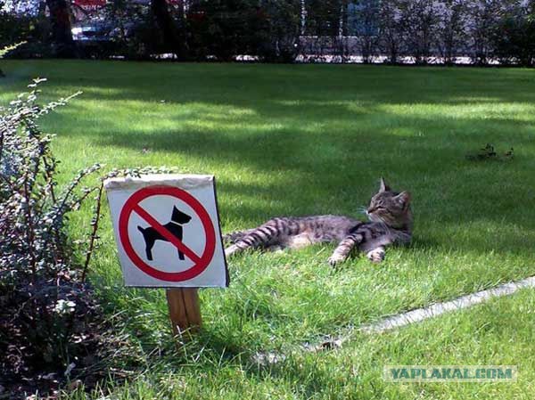 Необычные предупреждения появились в московских парках