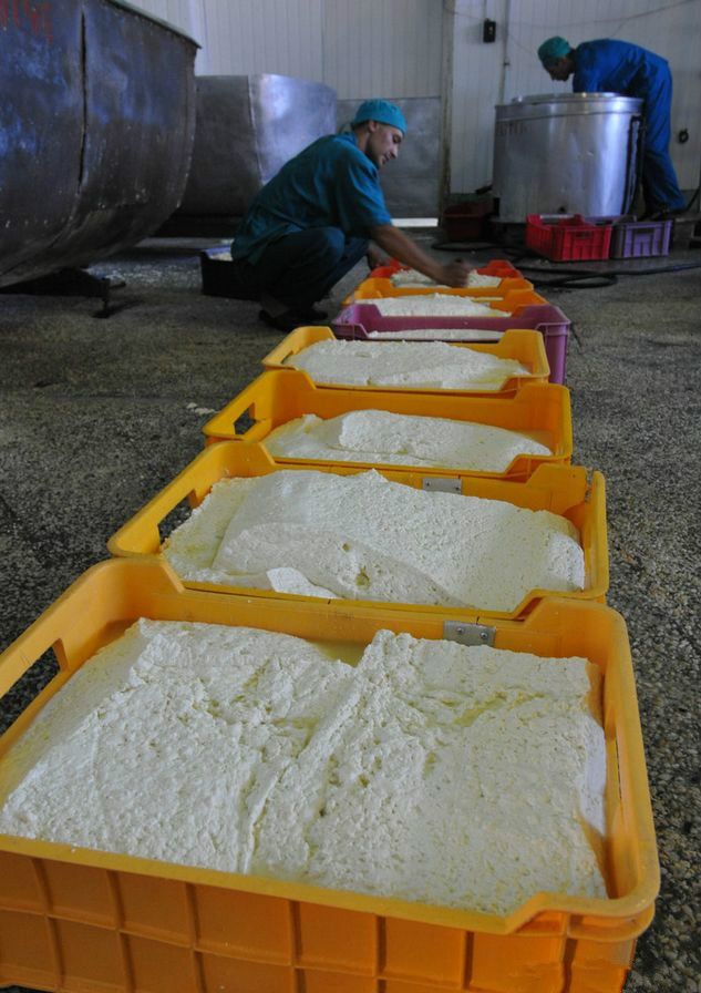 Как в Хакасии делают ниточный сыр