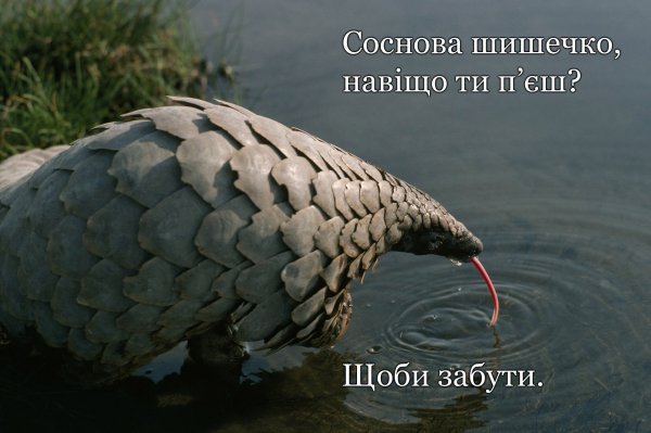 10078760.jpg