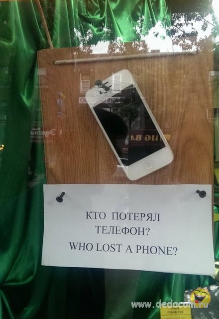 3896860.jpg