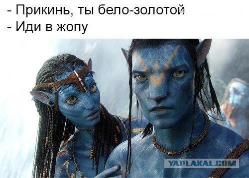 5015070.jpg