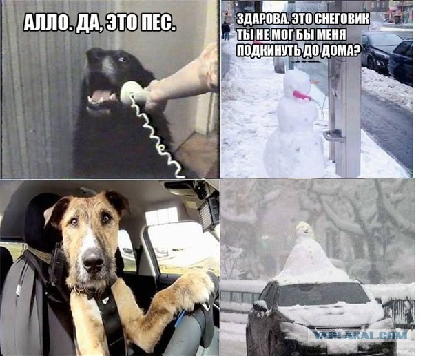 Преследование