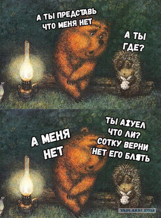 10989570.jpg