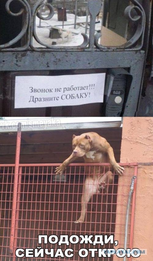 Подборка прикольных картинок