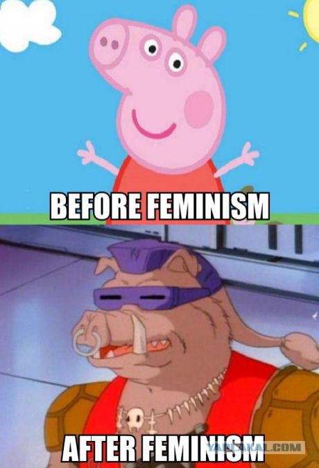 8872770.jpg
