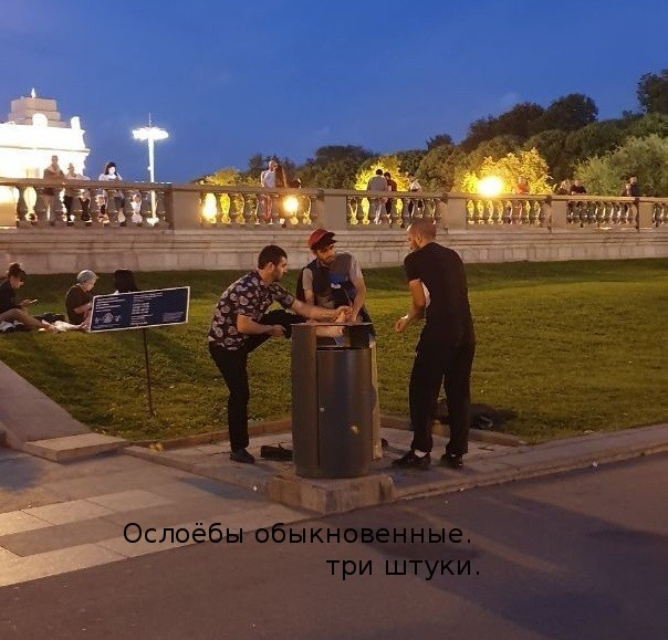 21-й век, Москва, парк Горького, бесплатный питьевой фонтанчик