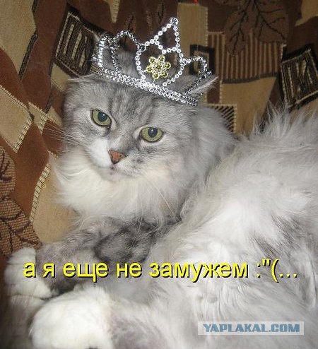 5 самых старых секс-энциклопедий в мире, которые Шуточные сценки