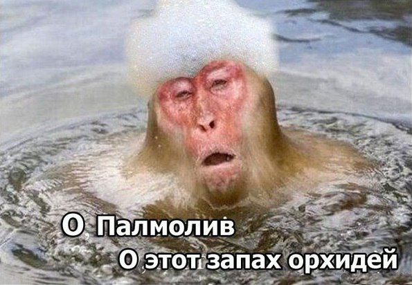 8906080.jpg