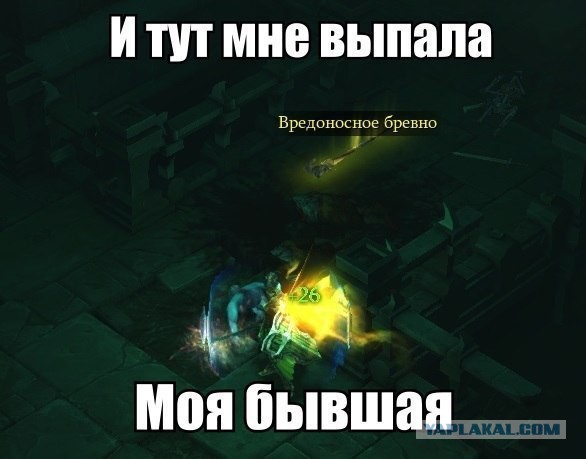 5293180.jpg