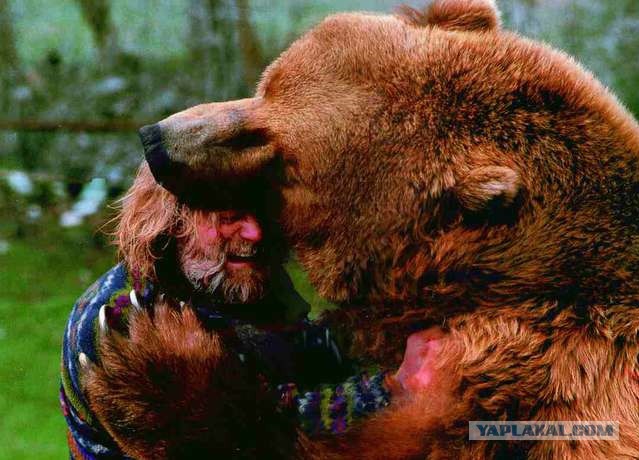 Жертвы Медведя Фото Жертвы Медведя Фото