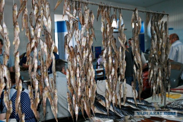 Керченский рынок, рыбные ряды