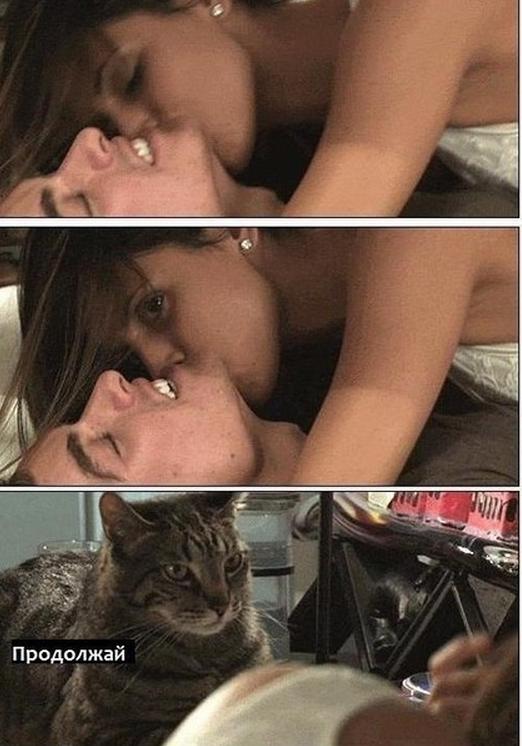 Секс Девочки С Котом